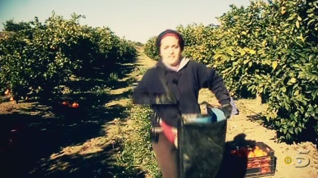 Conoce a los concursantes de 'GH 12+1'