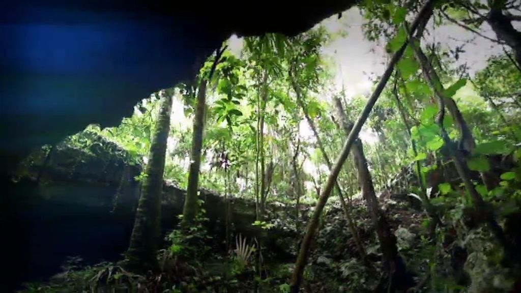 Los espectaculares cenotes mayas, primera puerta hacia el inframundo