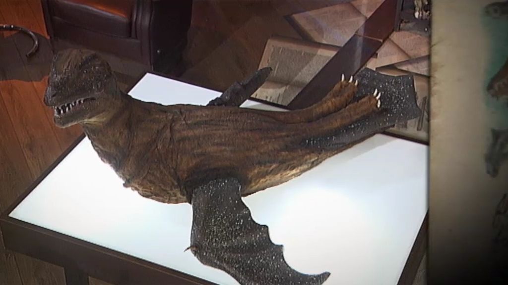 ¿Qué clase de criaturas habitarán la Tierra cuando el hombre se extinga?