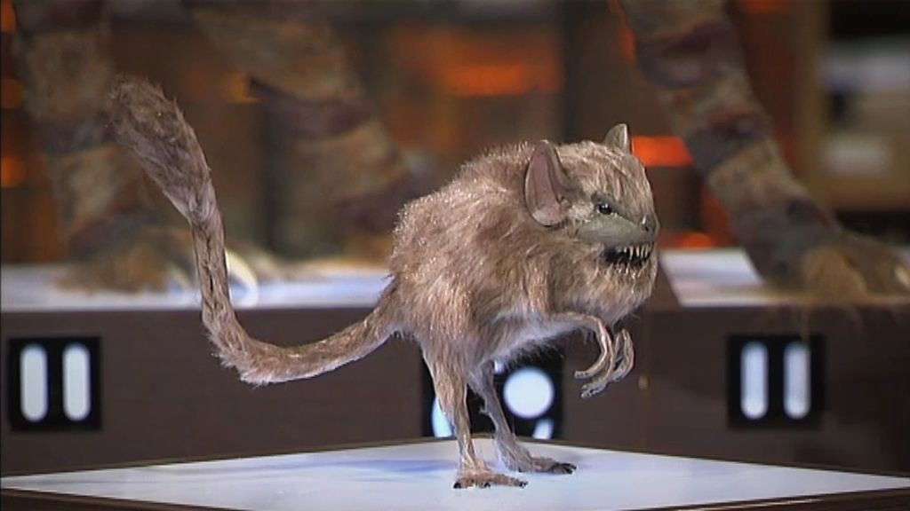 ¿Qué clase de criaturas habitarán la Tierra cuando el hombre se extinga?