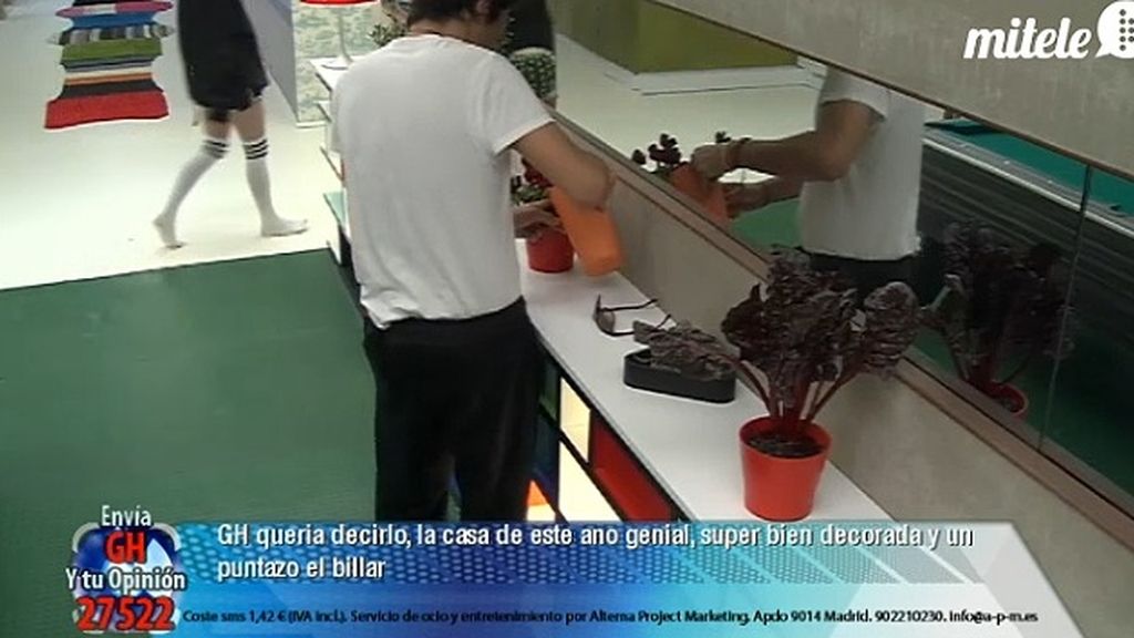 Las tareas domésticas, uno de los platos fuertes de la convivencia Las tareas domésticas, uno de los platos fuertes de la convivencia