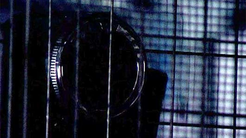 La Roca suspendido por manipulación de pruebas