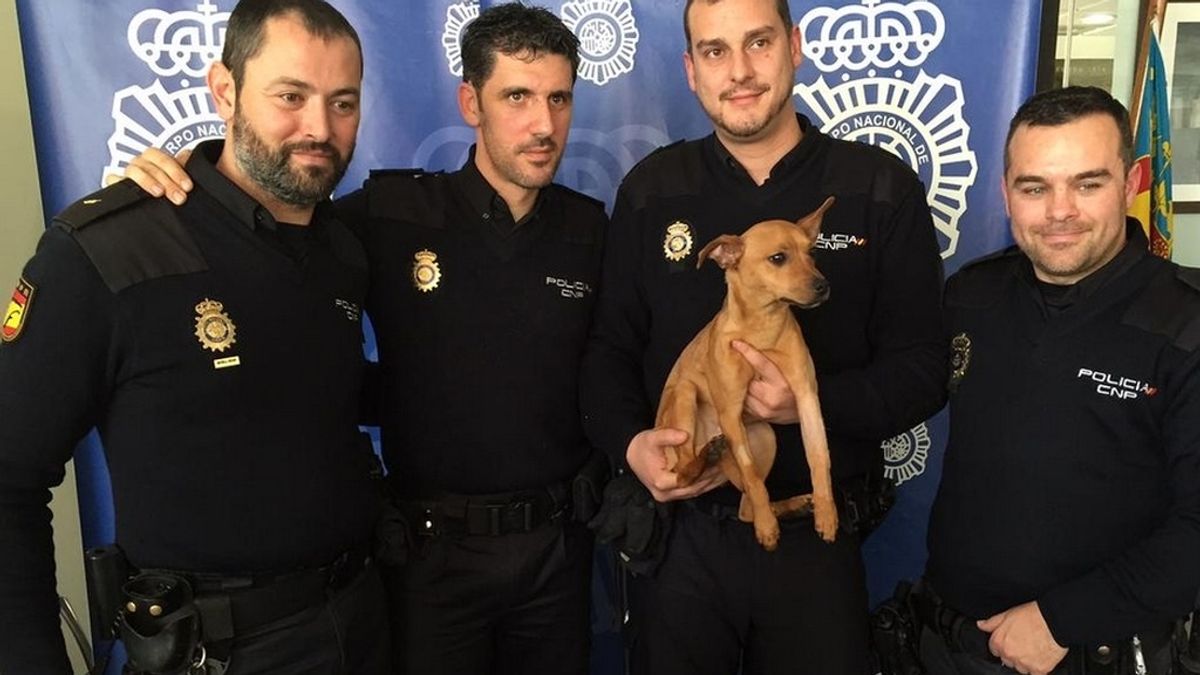 La Policía rescata a un perro maltratado y paga los costes de la operación
