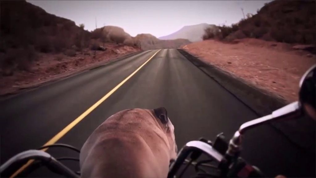 Mad se presenta en la web