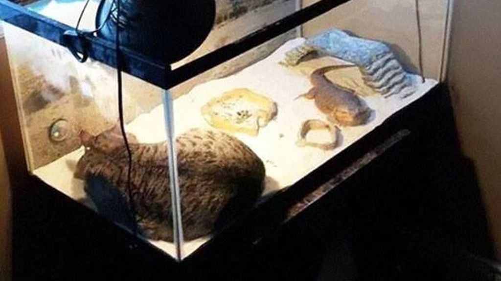 La siesta es sagrada, estés donde estés