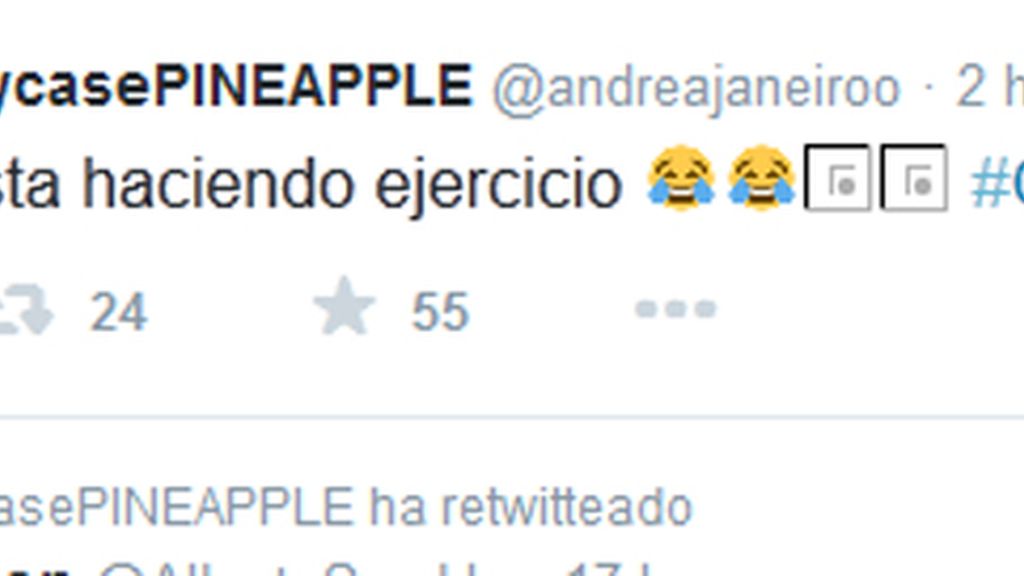 tuit andreita