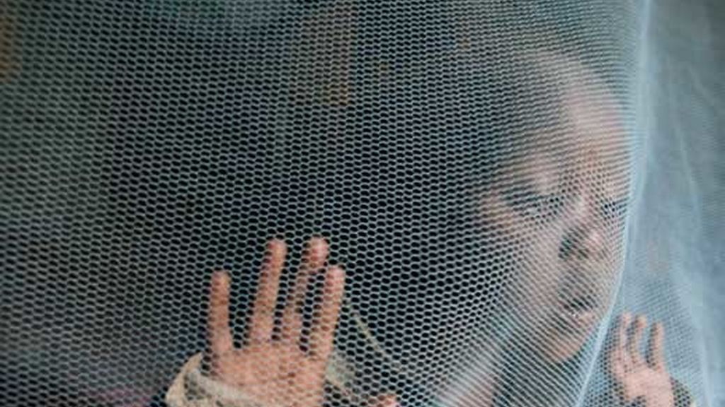 Dos millones de personas, la mayoría niños, mueren cada año de malaria