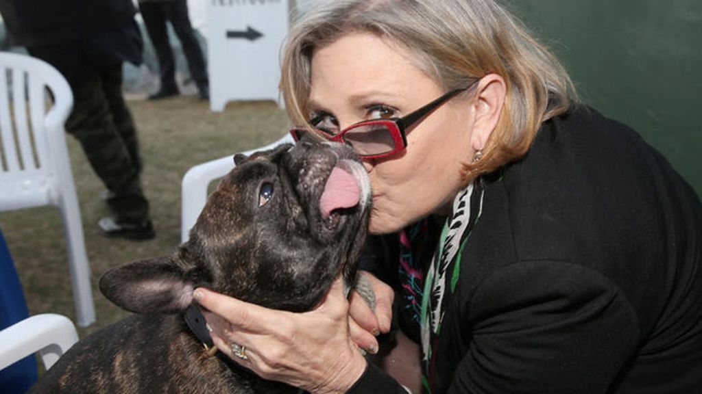 Todos echaremos de menos a Carrie Fisher, pero su perro Gary más: así era su relación