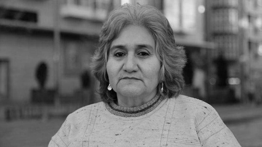 AVANZADORAS