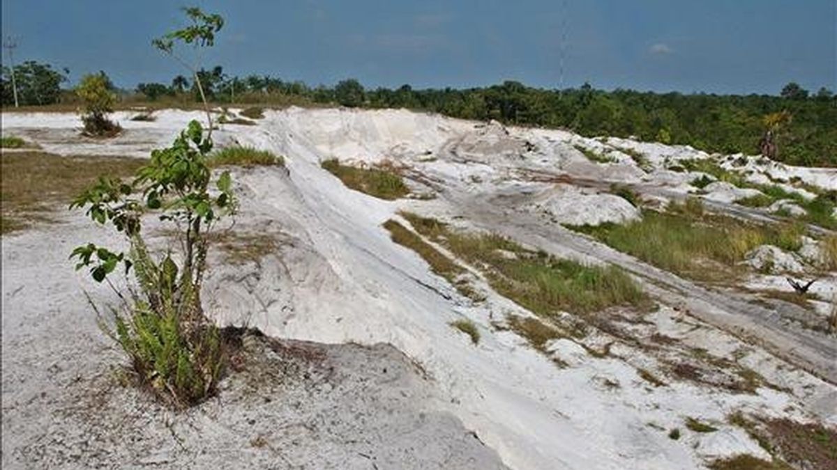 En la imagen, una vista de áreas deforestadas e irrecuperables en la amazonia peruana. EFE/Archivo