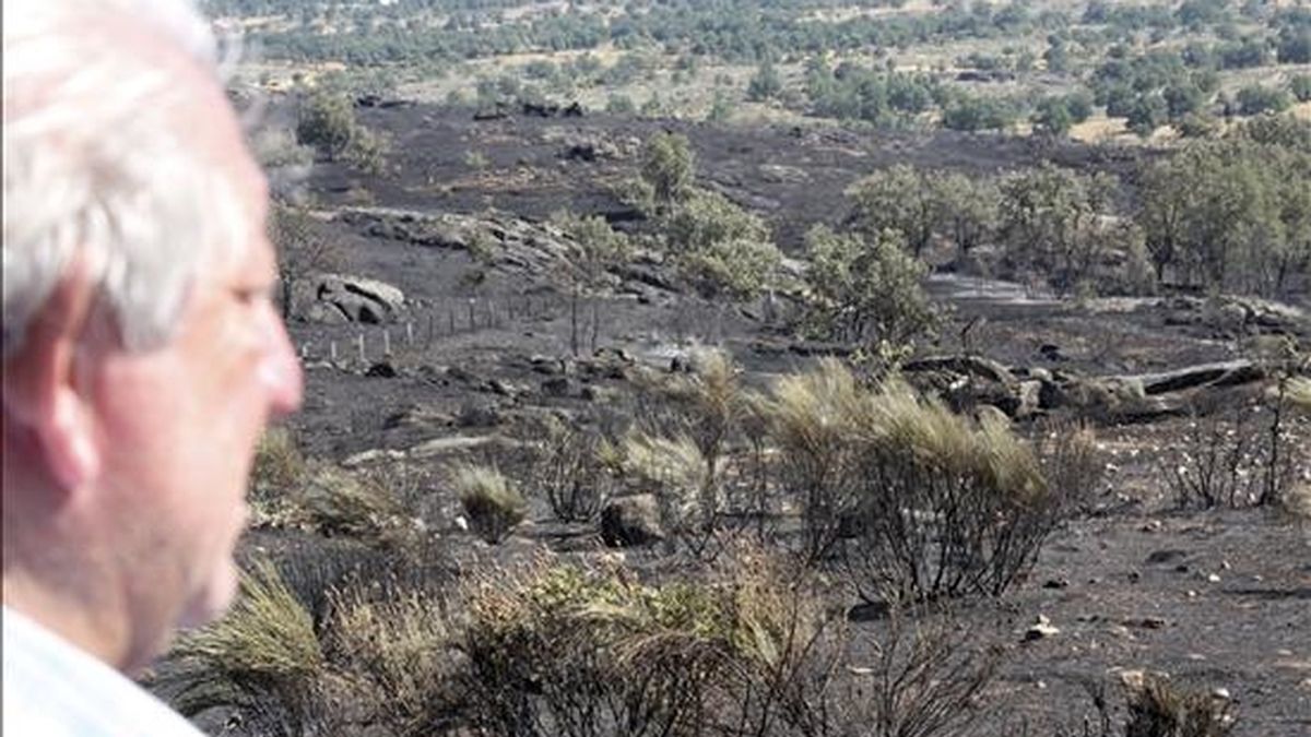 El alcalde de la localidad de Villarino de los Aires, José Martín, observa la zona afectada por el incendio forestal originado el pasado 30 de julio que ha arrasado un millar de hectáreas. EFE