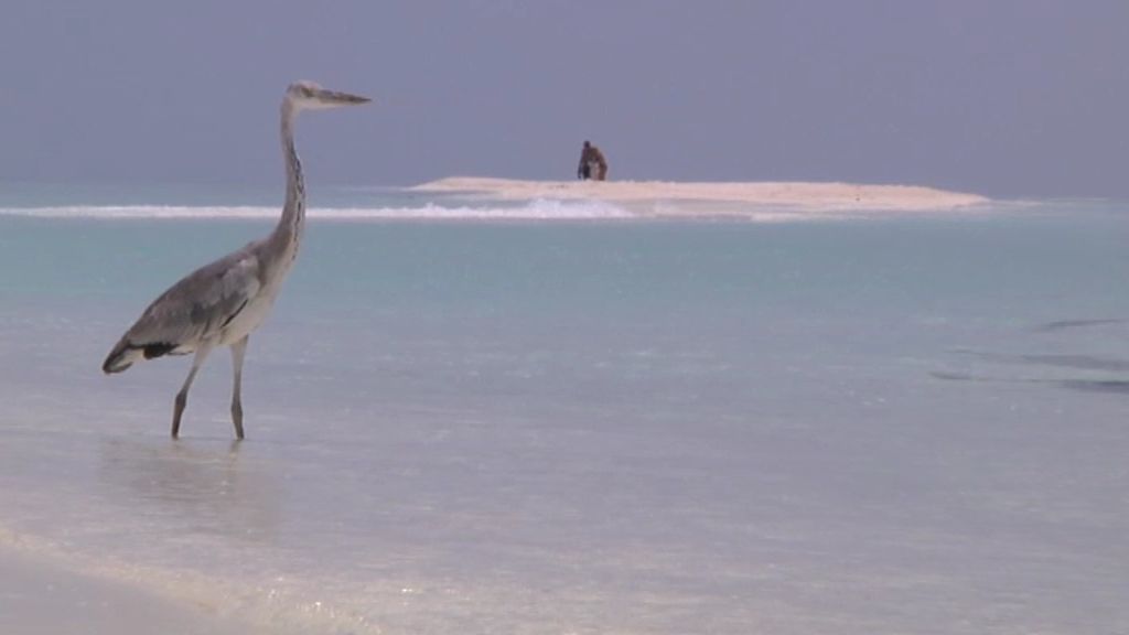 Maldivas, un paraíso bajo el mar