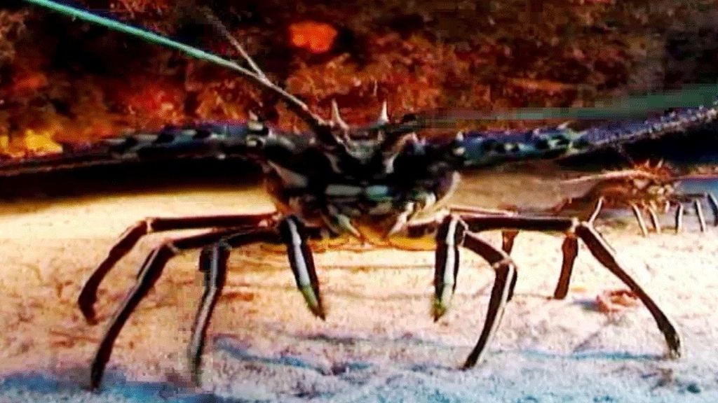 'Callejeros Viajeros' especial playas de Cabo Verde