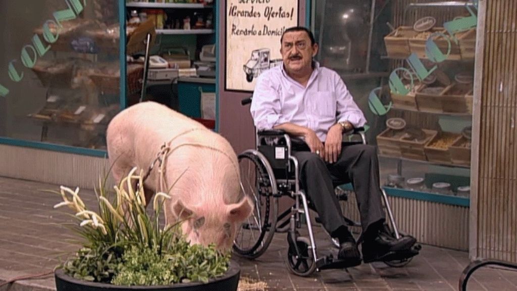 El cerdo de Mauricio