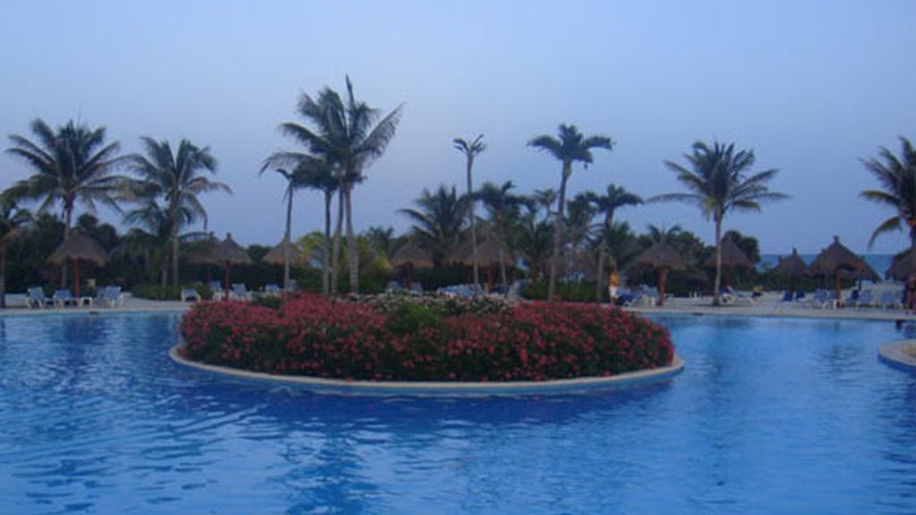 La luna de miel de Javier Palomares