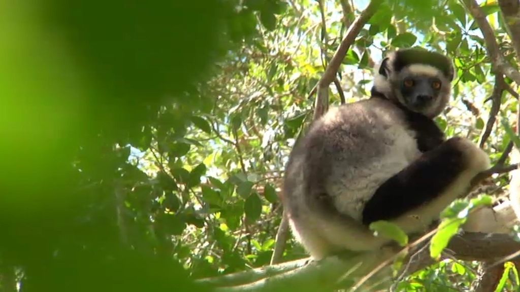 Madagascar, el dorado del Índico