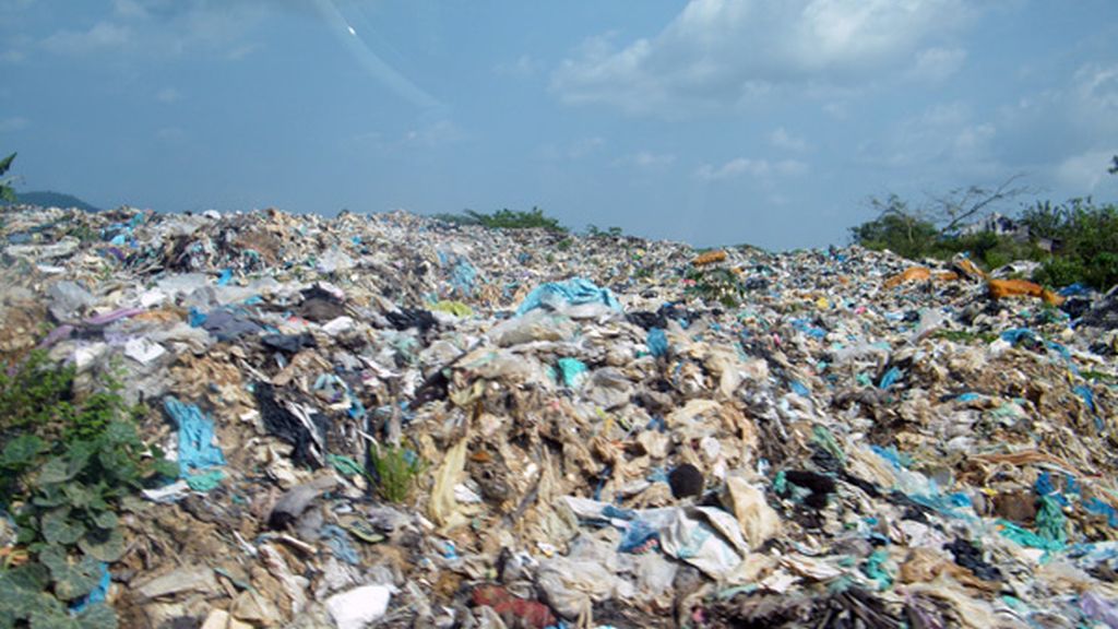 Vidas en la basura