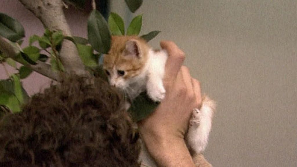 Barajas, nuevo héroe de Esperanza Sur