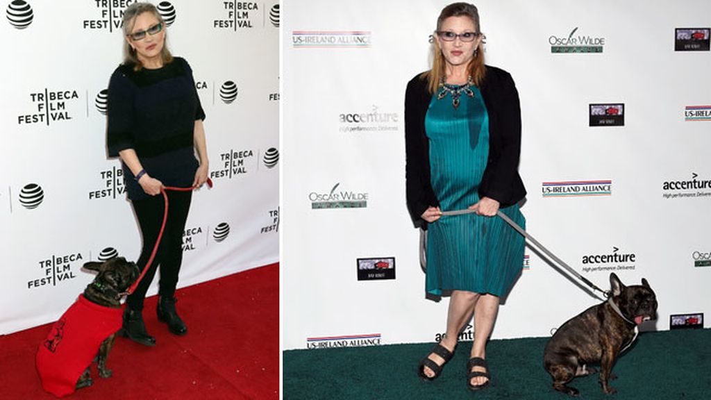 Todos echaremos de menos a Carrie Fisher, pero su perro Gary más: así era su relación