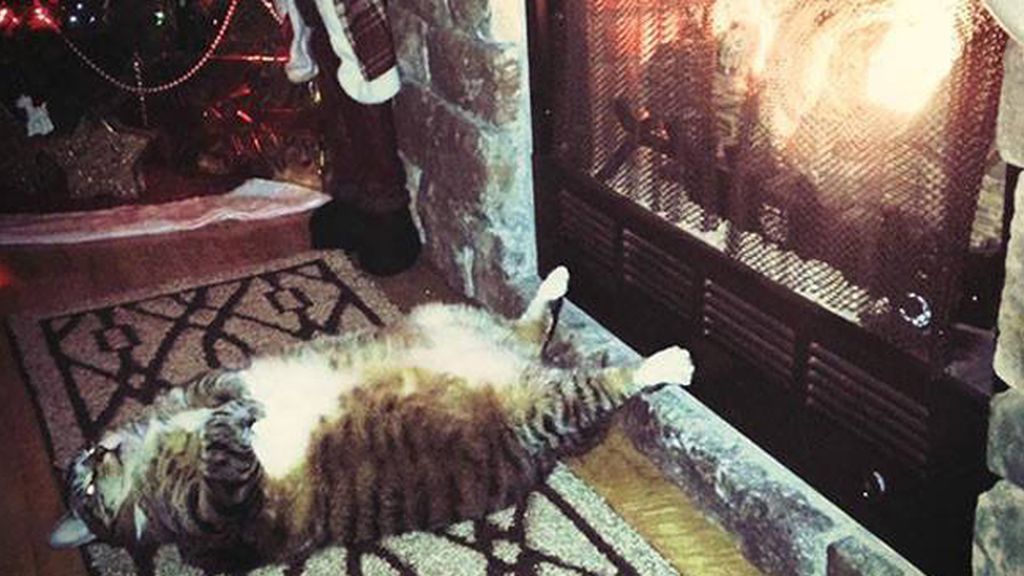 La siesta es sagrada, estés donde estés