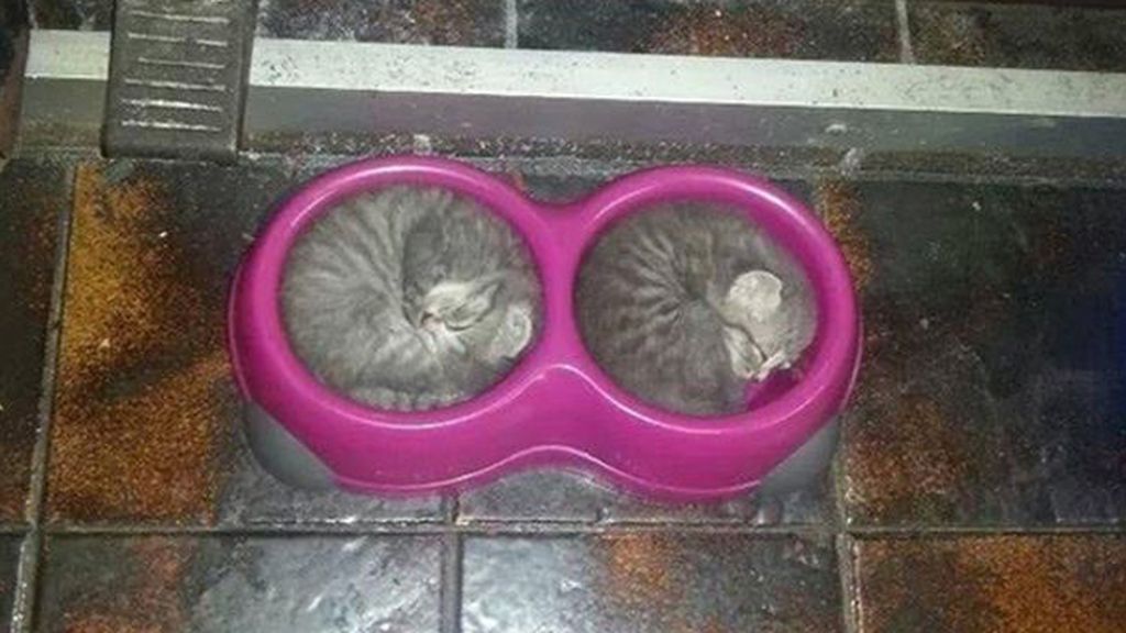 La siesta es sagrada, estés donde estés