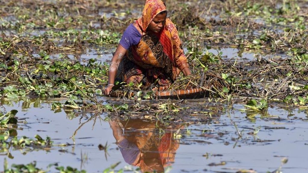 Pescando en la India