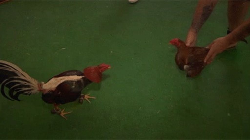 'La Navidad' en pleno verano