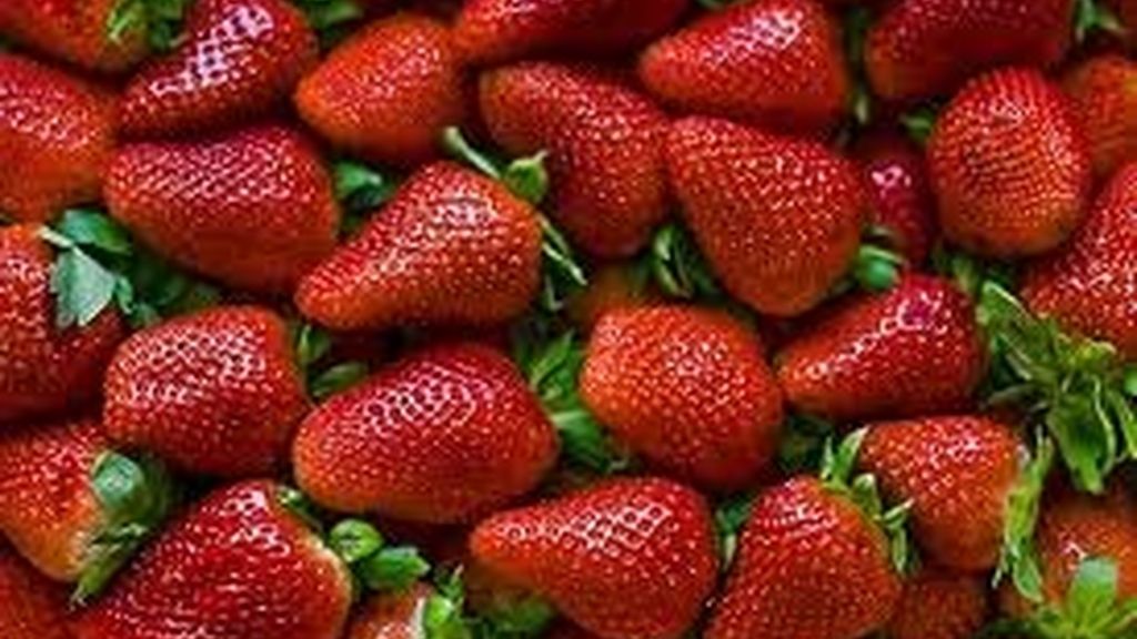 fresas fresas