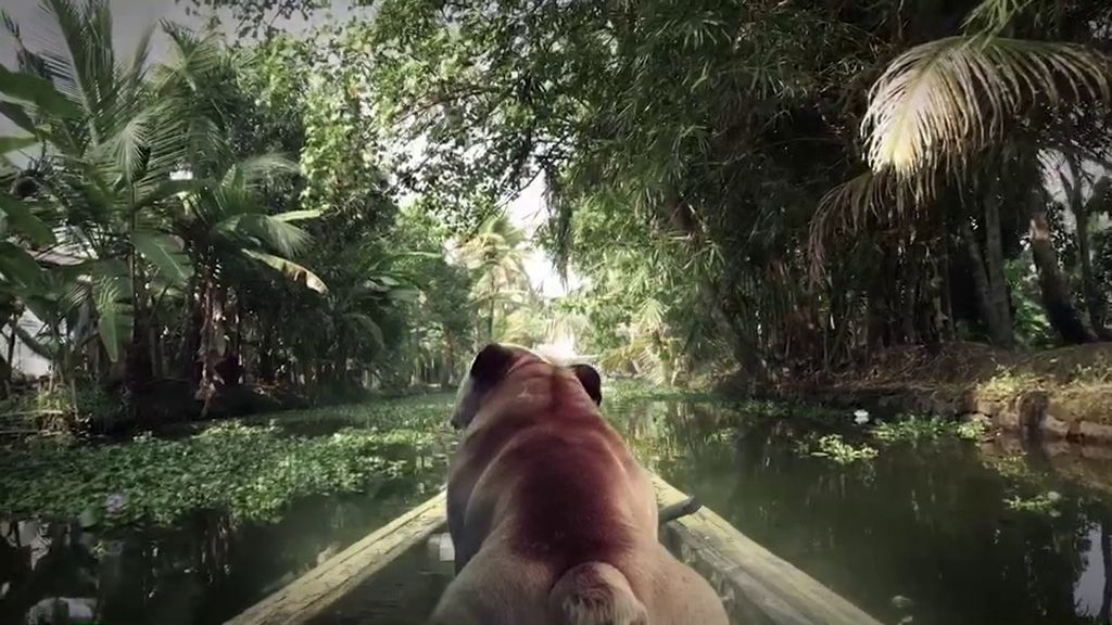 Mad se presenta en la web