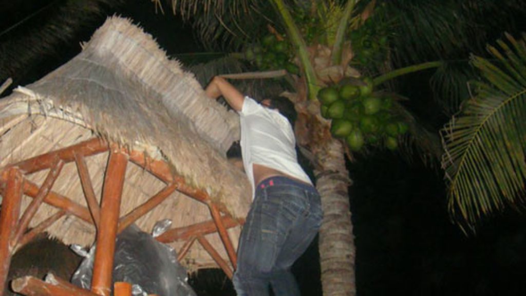 La luna de miel de Javier Palomares