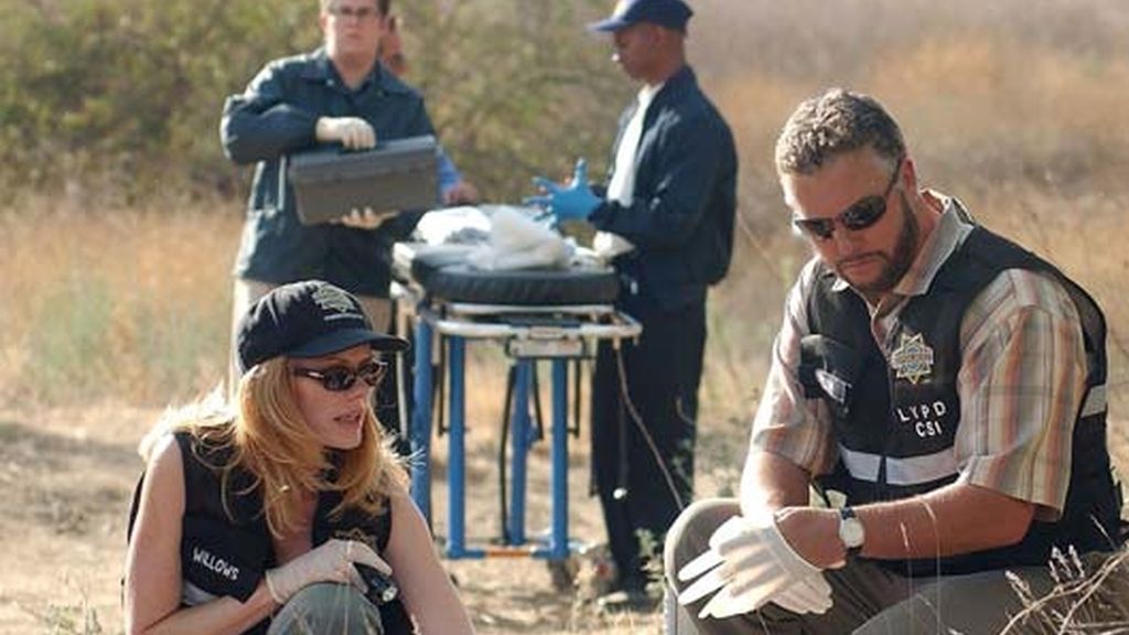 'CSI', la serie de más éxito