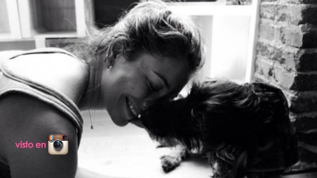 perritos