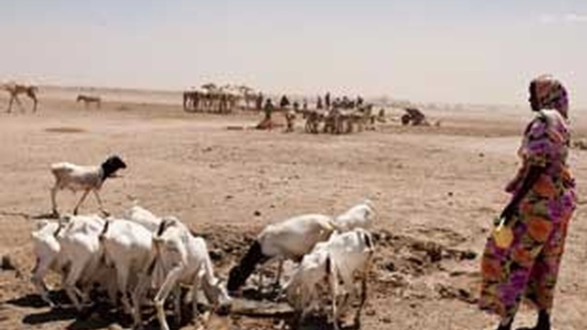 La hambruna que azota a cientos de miles de personas en el cuerno de África, a causa de la sequía y de los conflictos armados, va para largo, según la subsecretaria general para Asuntos Humanitarios de la ONU. FOTO: EFE