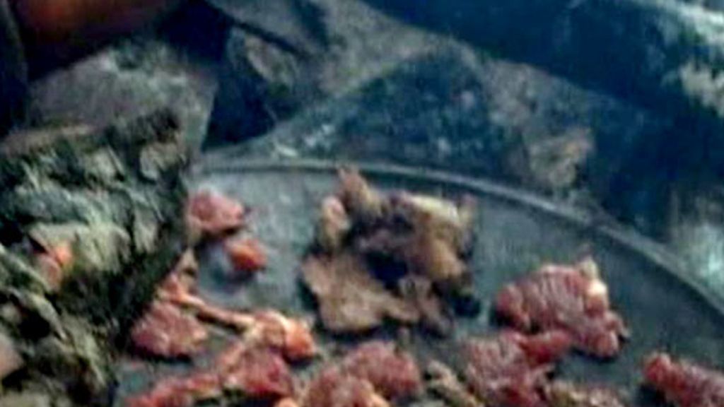 Prueba de recompensa