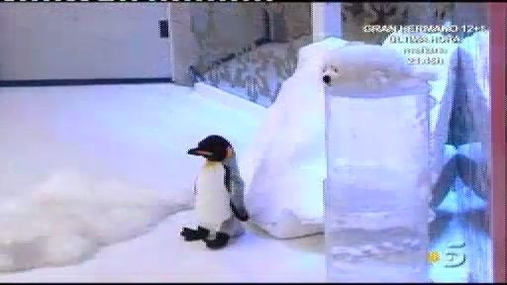 Fiesta del hielo en Guadalix