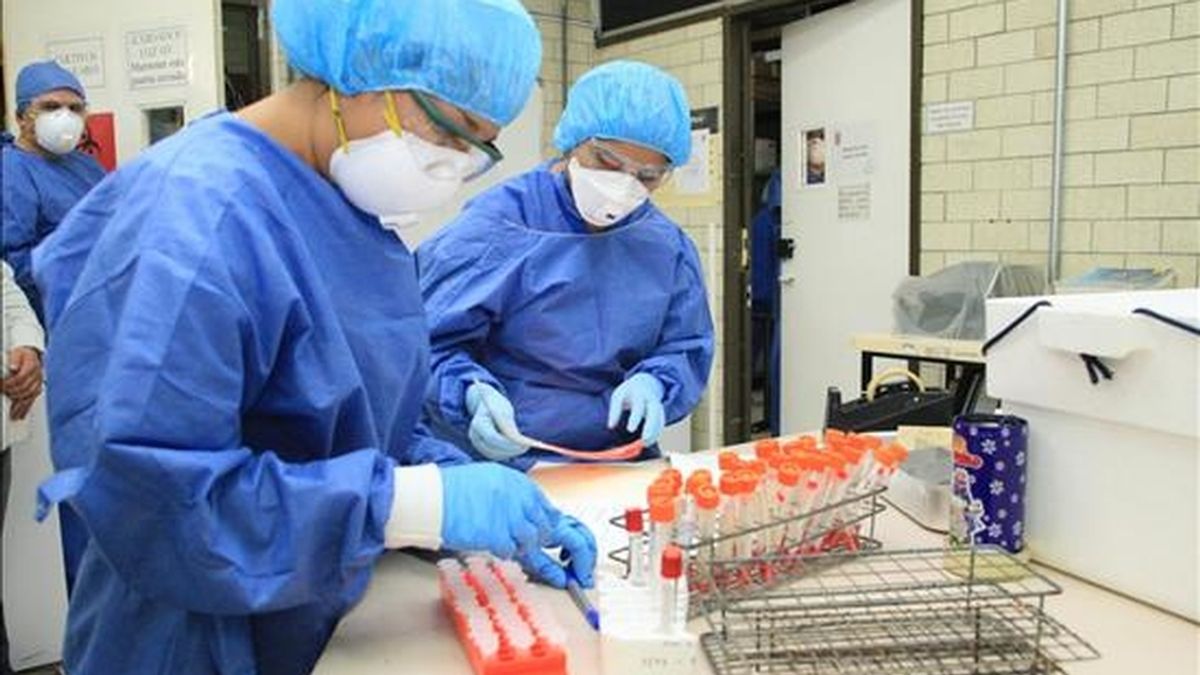 El número de casos de gripe A confirmados en laboratorio desde que se detectaron los primeros contagios en la ciudad, a finales de abril, asciende a 1.032. EFE/Archivo