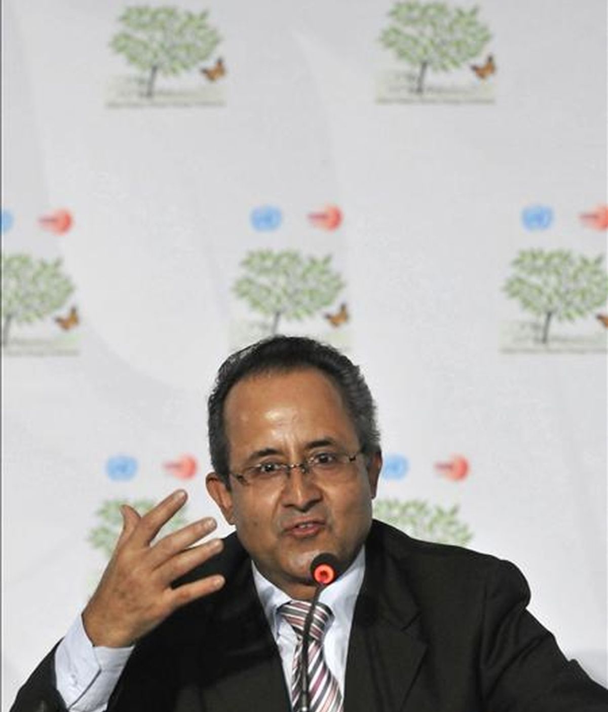 El director del Centro para el Desarrollo Integral de Montañas, Madhav Karki, habla en el marco de la XVI Conferencia de las Partes de la ONU sobre Cambio Climático, en Cancún (México). EFE El director del Centro para el Desarrollo Integral de Montañas, Madhav Karki, habla en el marco de la XVI Conferencia de las Partes de la ONU sobre Cambio Climático, en Cancún (México). EFE