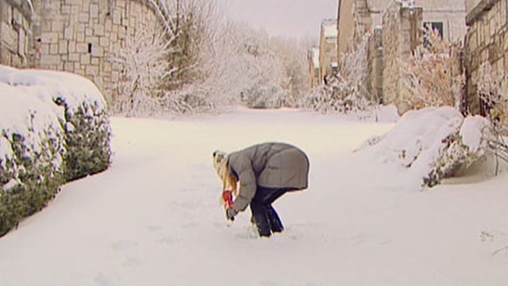 Adriana de las nieves