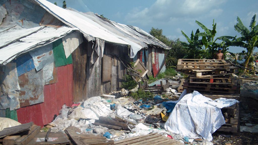 Vidas en la basura