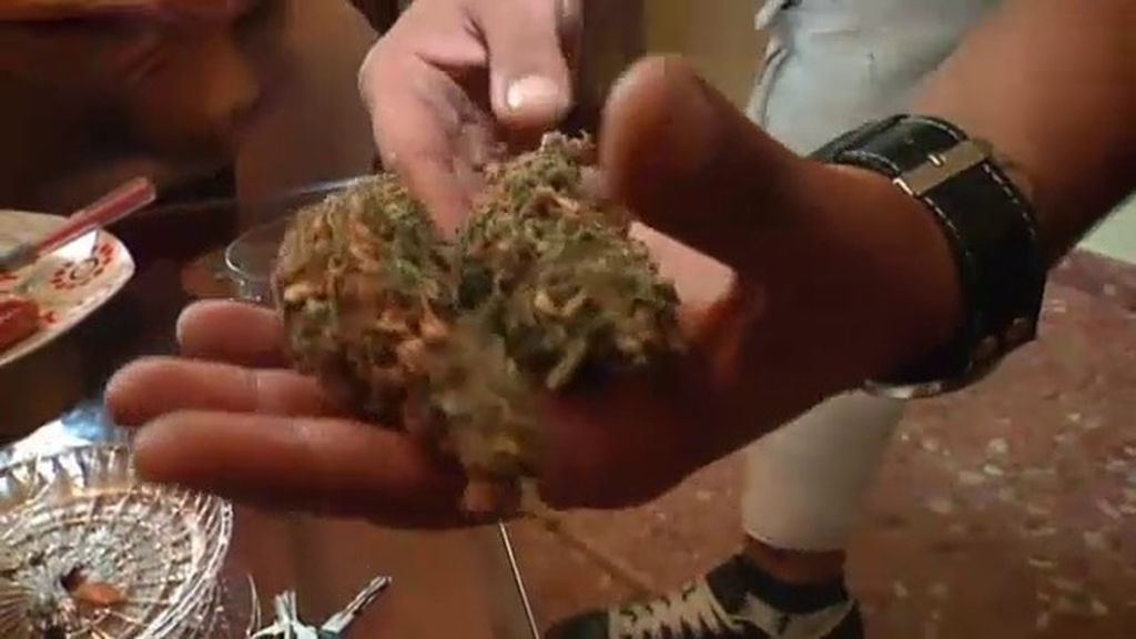 "El postre" de la banda del parque