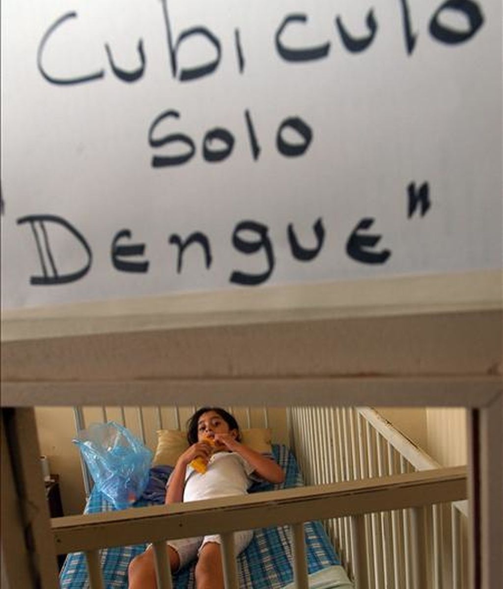 Según el balance divulgado este viernes por el Ministerio de Salud, los casos de dengue en lo que va del año son menos que la mitad que los 560.000 contabilizados en los primeros cinco meses del año pasado. EFE/Archivo Según el balance divulgado este viernes por el Ministerio de Salud, los casos de dengue en lo que va del año son menos que la mitad que los 560.000 contabilizados en los primeros cinco meses del año pasado. EFE/Archivo