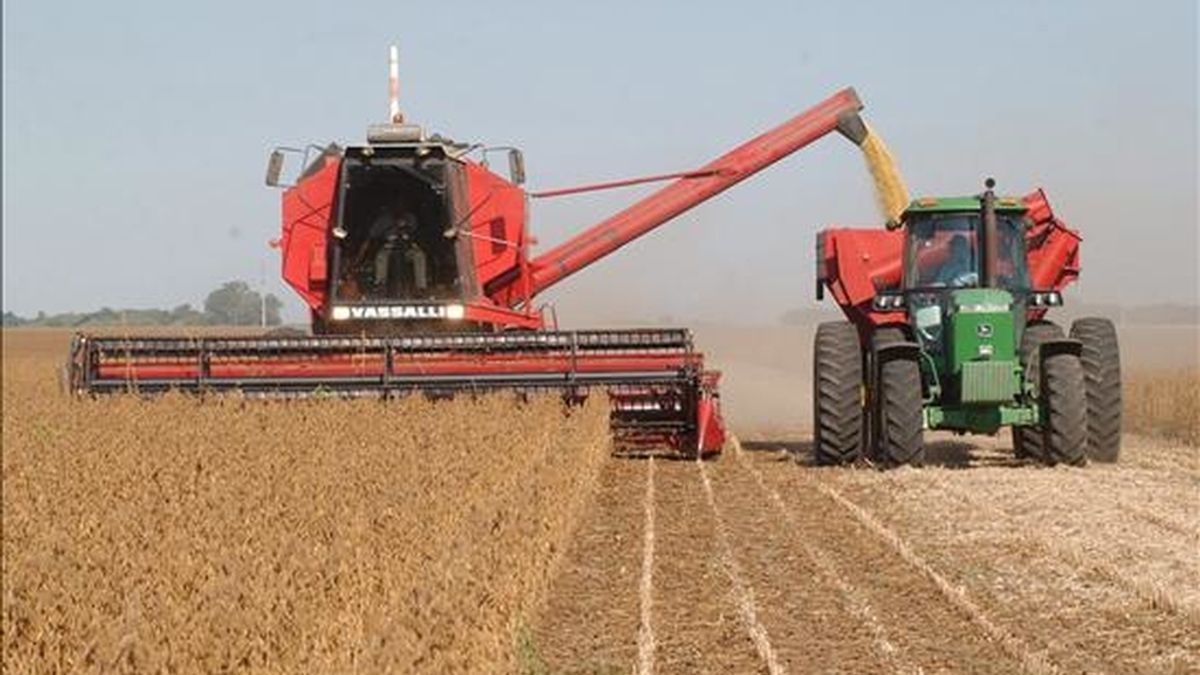 Argentina es el tercer exportador mundial de soja y ocupa también puestos de relevancia en el comercio global de derivados (aceites y harinas) de ese grano. EFE/Archivo