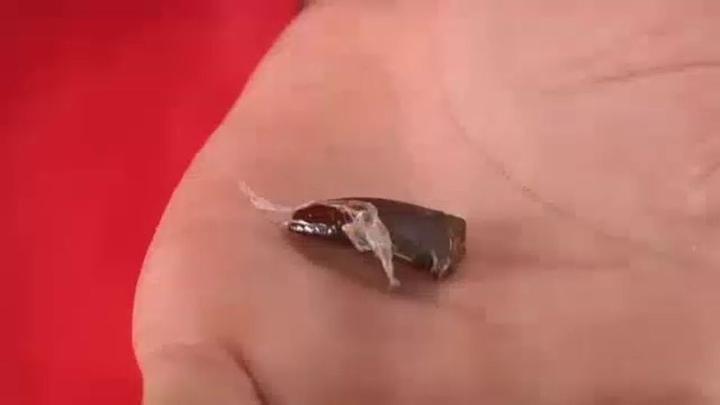 Un joven se “lía” un porro