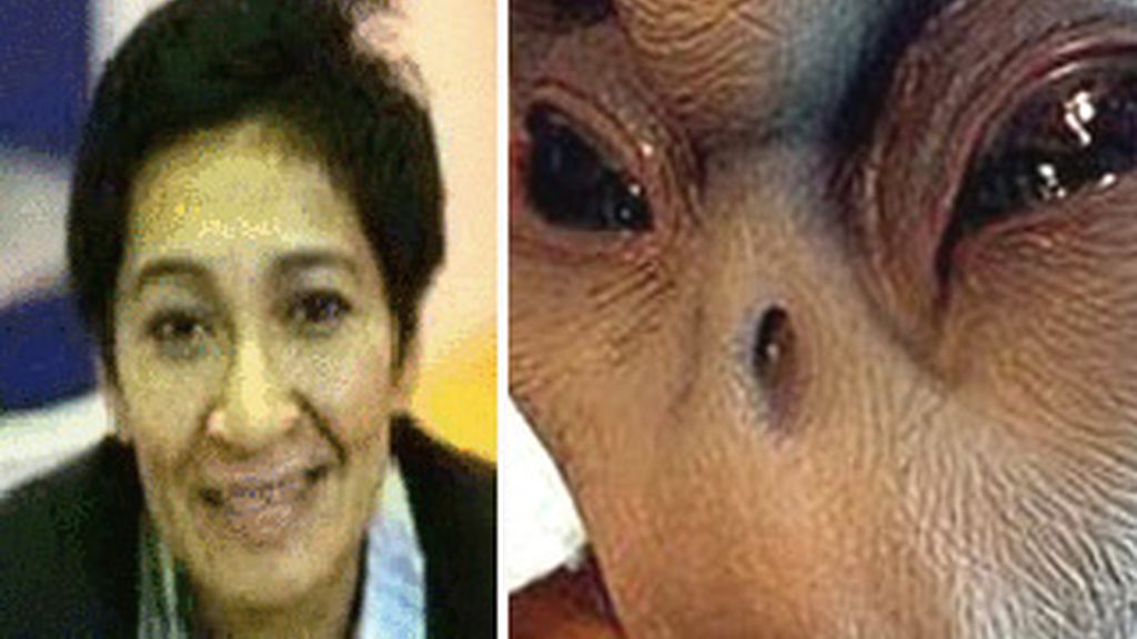 La astrofísica de Malasia, Mazlan Othman, en la imagen, ha desmentido que vaya a ser embajadora con los alienígenas.