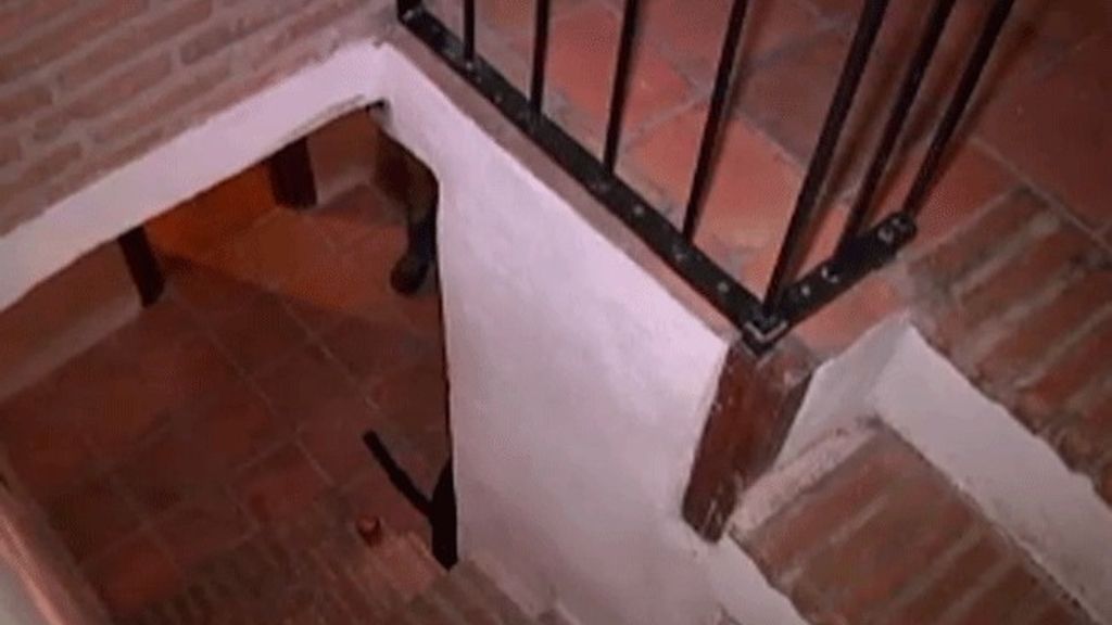 Las casas de alquiler, al detalle