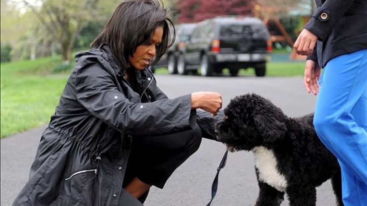 La primera dama estadounidense, Michel Obama, juega en los jardines de la Casa Blanca en Washington (EEUU), con su nueva mascota "Bo", un perro de aguas portugués, obsequiado a la familia Obama por el senador Edward Kennedy. EFE