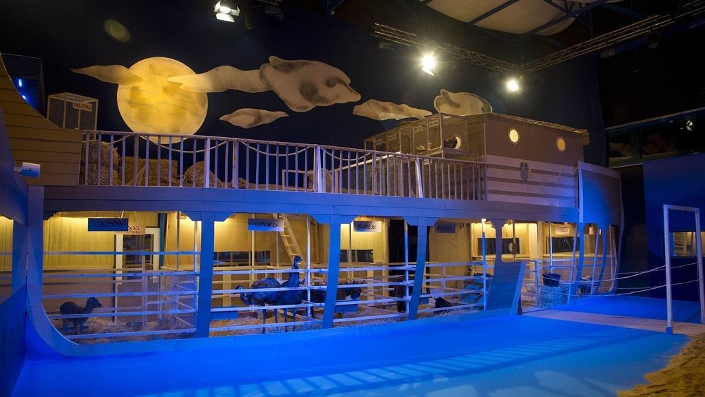 Descubre todos sus rincones