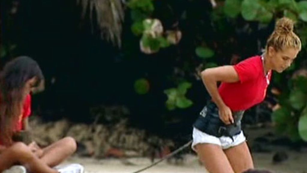 Prueba de recompensa