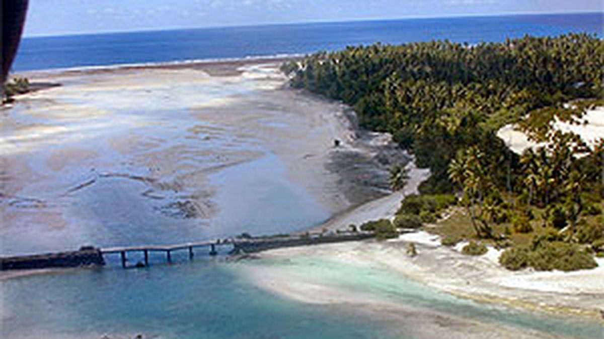 La fauna de Kiribati es de las más ricas del mundo. Foto: Kiribati Tours