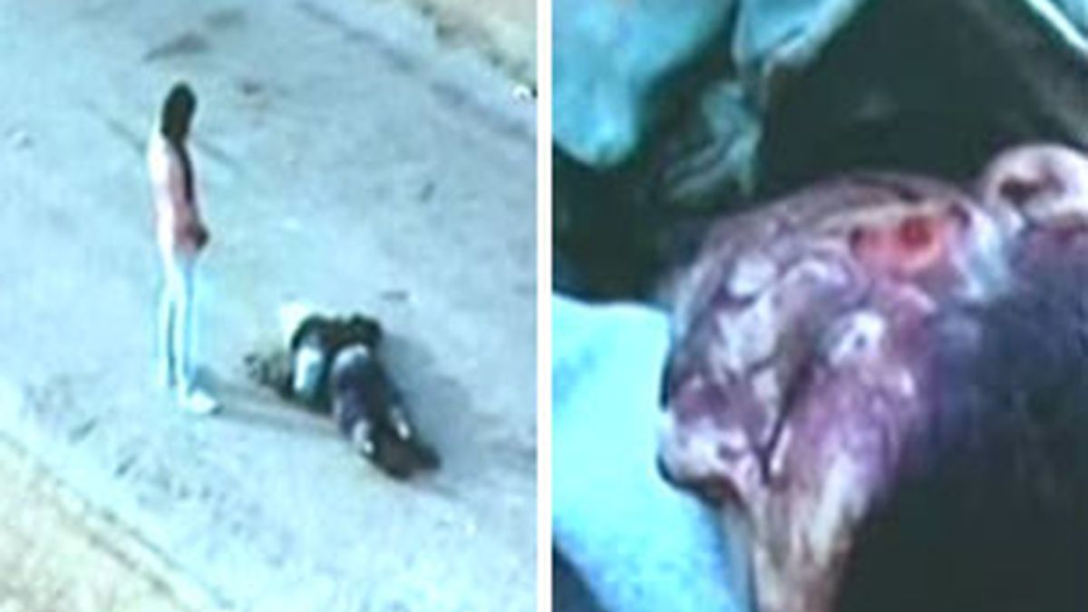 Imágenes del vídeo difundido por Marruecos en el que denuncia crueldad de los saharauis. Vídeo: Informativos Telecinco Imágenes del vídeo difundido por Marruecos en el que denuncia crueldad de los saharauis. Vídeo: Informativos Telecinco